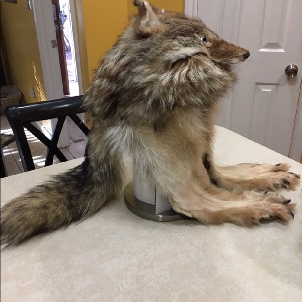 Unusual one of a kind pelt hat. As seen on Housewife’s of SAlt Lake City So Chíc